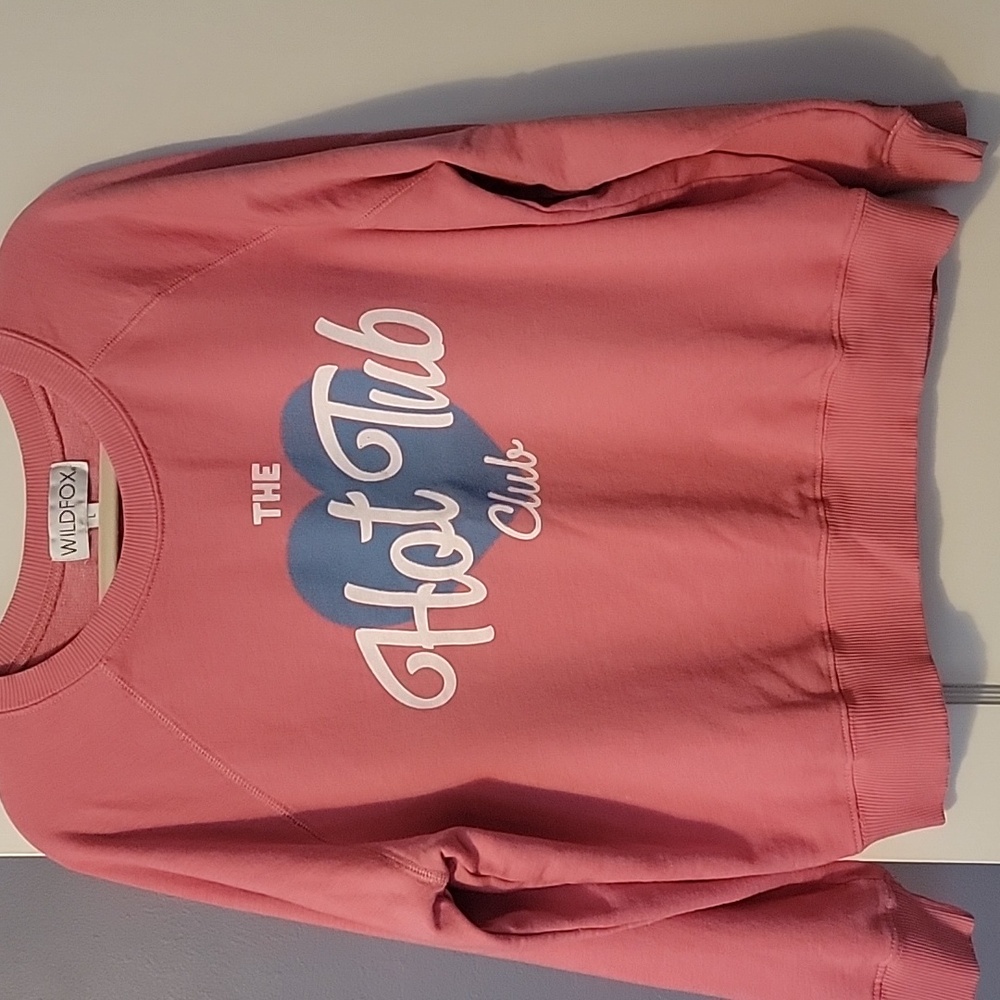 Wildfox Sweatshirt 💗